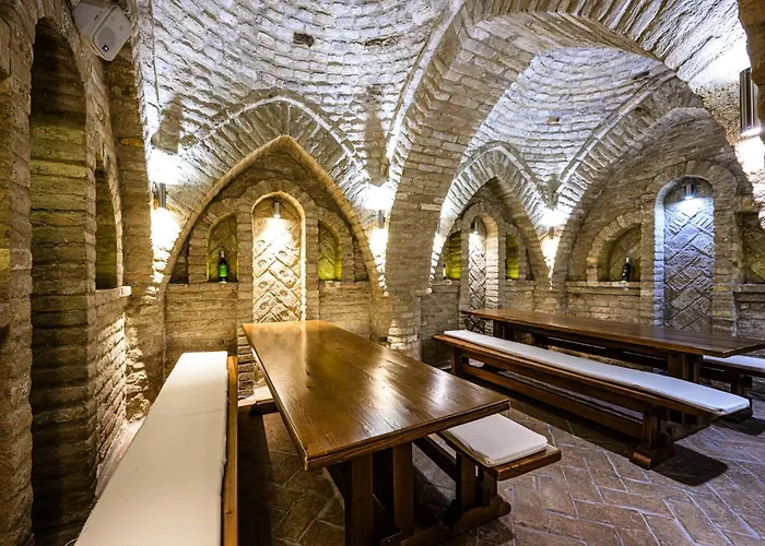 Vinatus Pince אורחן Villány