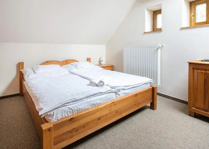 Vinatus Pince אורחן